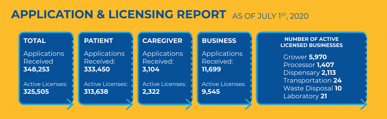 Application and Licensing Report