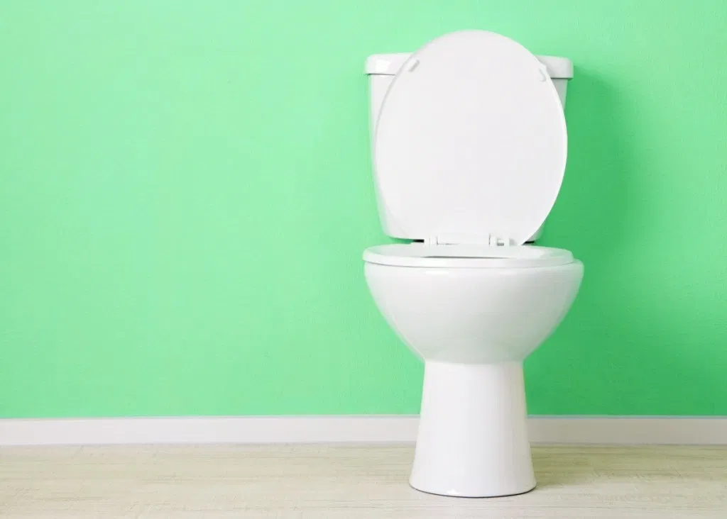 toilet against a sea green wall, did you know facts
